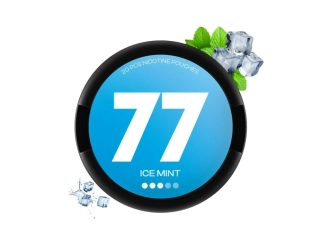 77 Pouches - Ice Mint