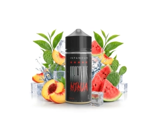 Infamous Ninja (Vodní meloun, kaktus, broskev a zelený čaj) SnV – 10 ml / 100 ml